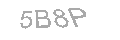 Güvenlik Kodu
