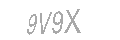 Güvenlik Kodu