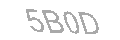 Güvenlik Kodu